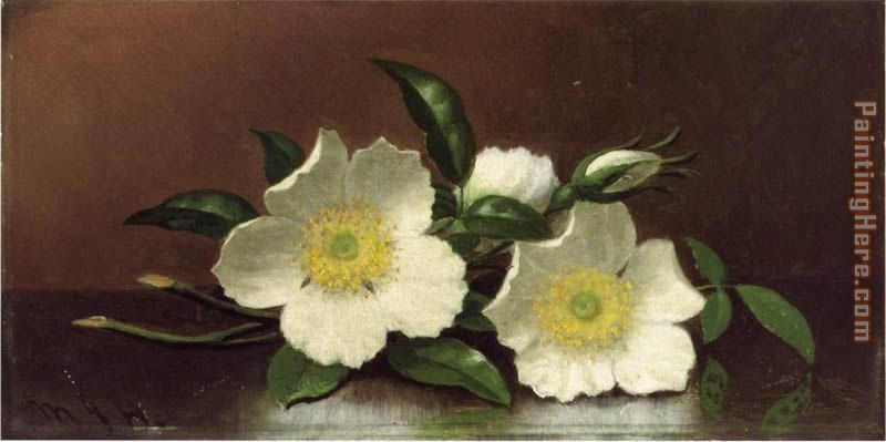 Martin Johnson Heade Two Cherokee Rose Blossoms on a Table